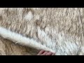 Tissu en fourrure, Richard