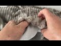 Tissu d’ameublement pelucheux à rayures, renforcé