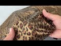 Tissu pour maillot de bain, motifs animalier